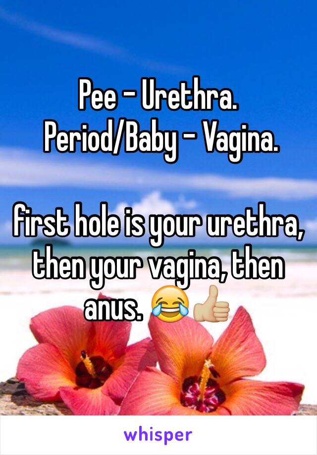 Pee - Urethra.
 Period/Baby - Vagina.

first hole is your urethra, then your vagina, then anus. 😂👍🏼
