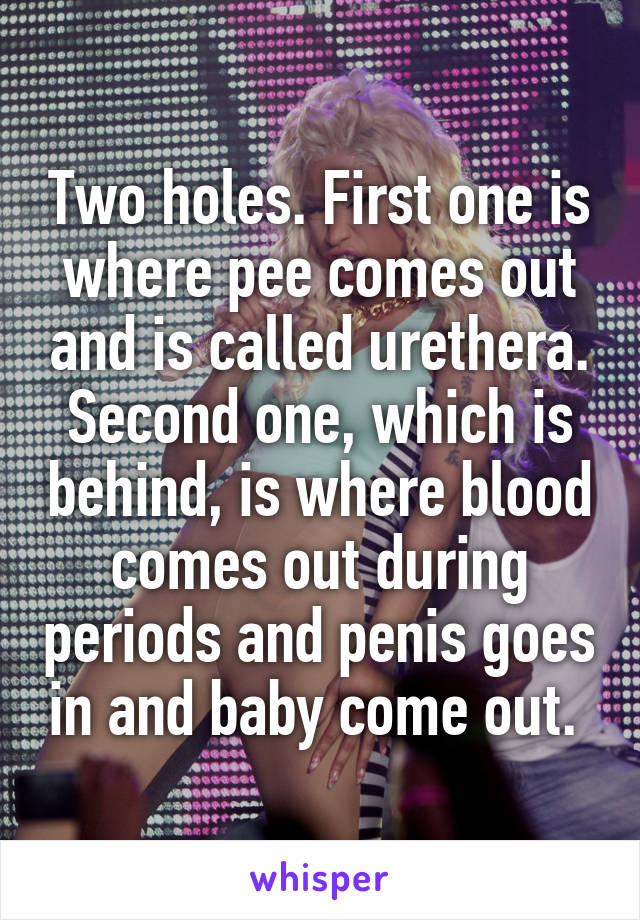 Two holes. First one is where pee comes out and is called urethera. Second one, which is behind, is where blood comes out during periods and penis goes in and baby come out. 
