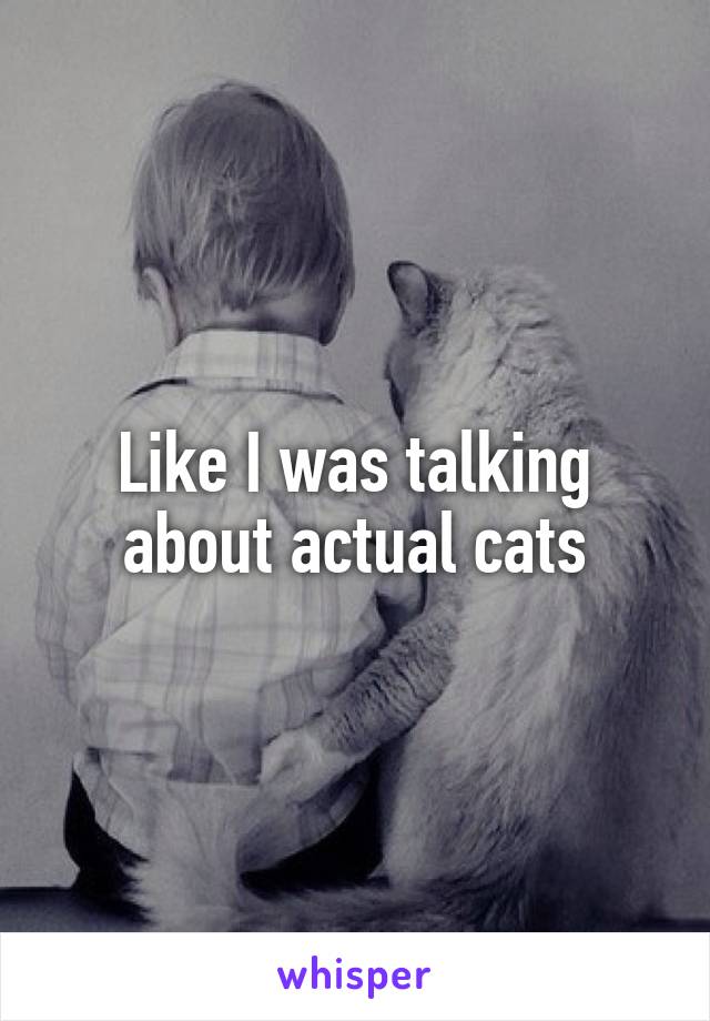 Like I was talking about actual cats