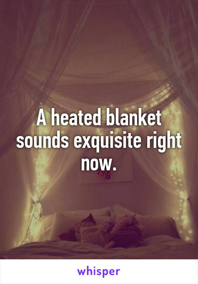 A heated blanket sounds exquisite right now.