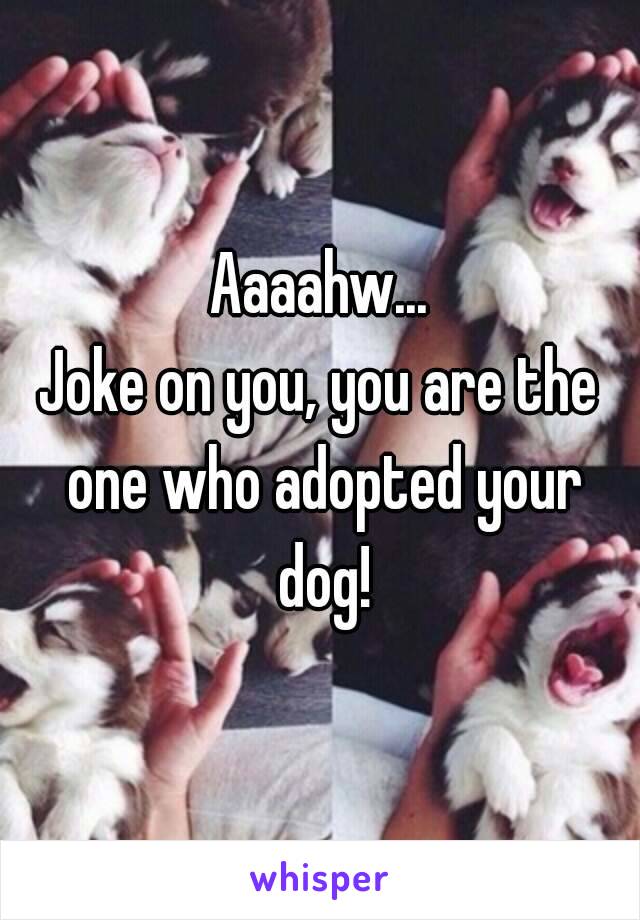 Aaaahw...
Joke on you, you are the one who adopted your dog!