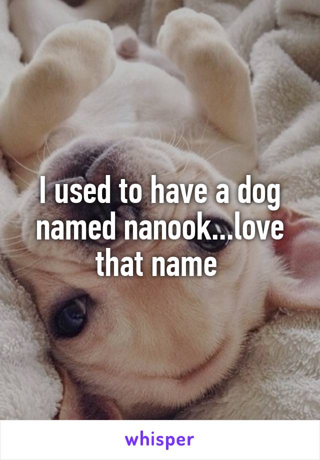I used to have a dog named nanook...love that name 