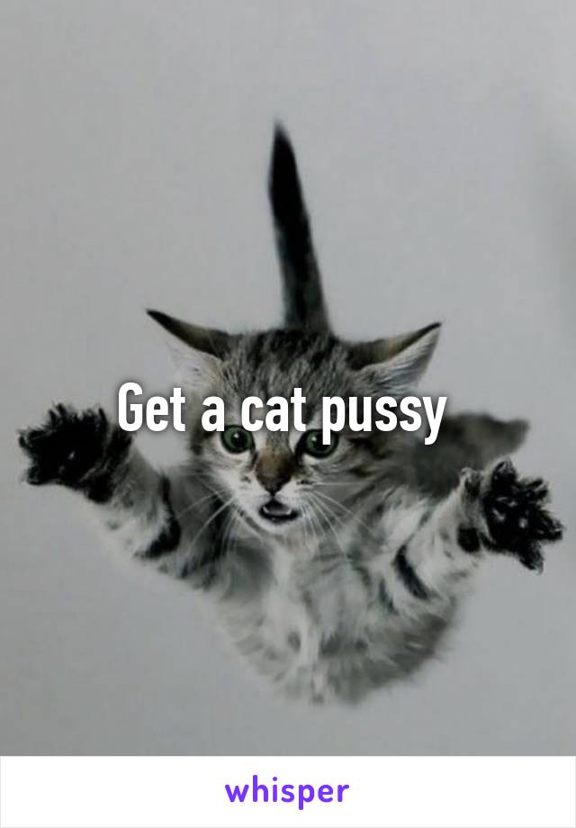 Get a cat pussy 