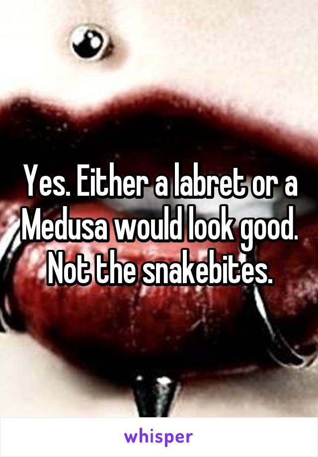 Yes. Either a labret or a Medusa would look good.
Not the snakebites.
