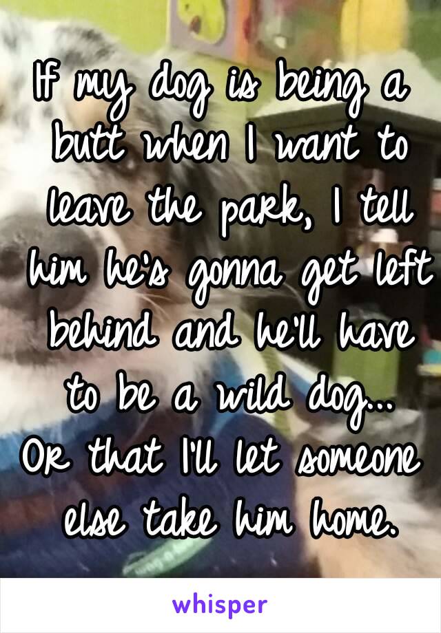 If my dog is being a butt when I want to leave the park, I tell him he's gonna get left behind and he'll have to be a wild dog...
Or that I'll let someone else take him home.