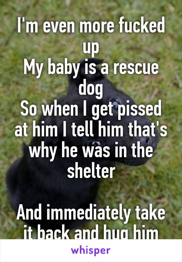 I'm even more fucked up
My baby is a rescue dog
So when I get pissed at him I tell him that's why he was in the shelter

And immediately take it back and hug him