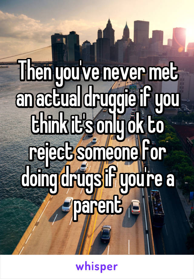 Then you've never met an actual druggie if you think it's only ok to reject someone for doing drugs if you're a parent