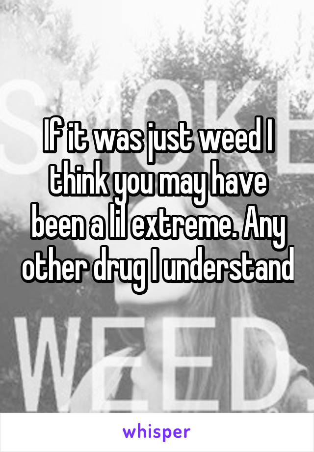 If it was just weed I think you may have been a lil extreme. Any other drug I understand 