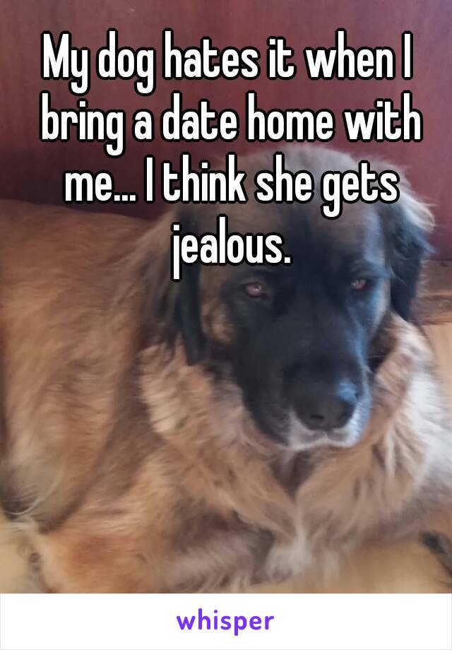 My dog hates it when I bring a date home with me... I think she gets jealous.