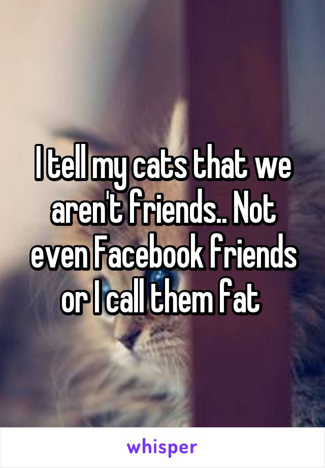 I tell my cats that we aren't friends.. Not even Facebook friends or I call them fat 