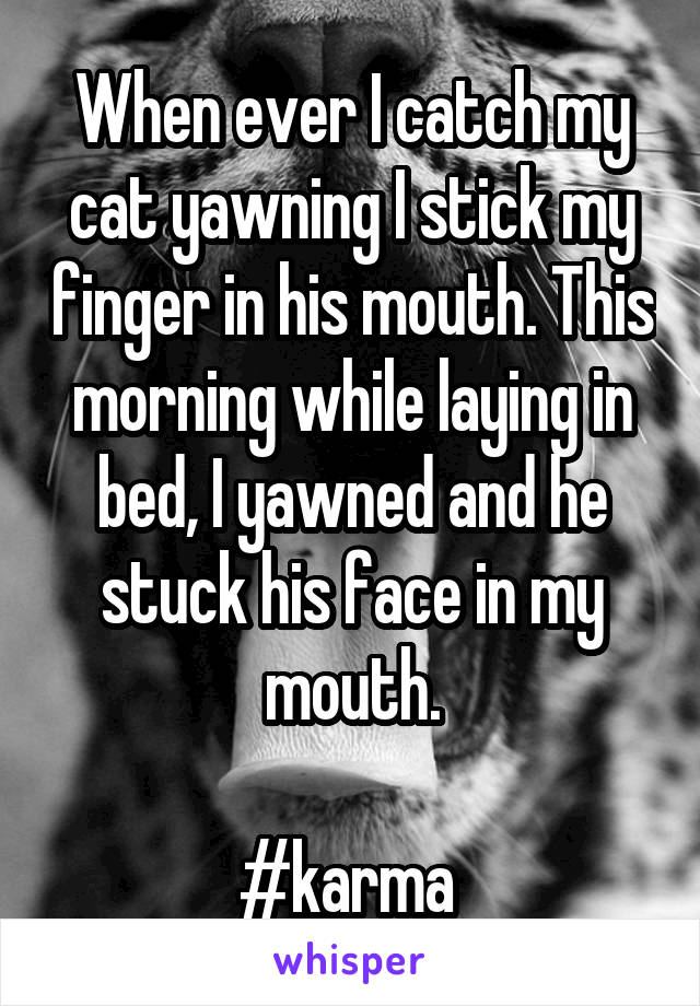 When ever I catch my cat yawning I stick my finger in his mouth. This morning while laying in bed, I yawned and he stuck his face in my mouth.

#karma 
