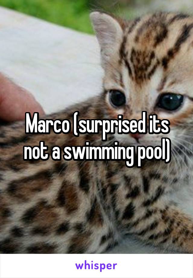 Marco (surprised its not a swimming pool)