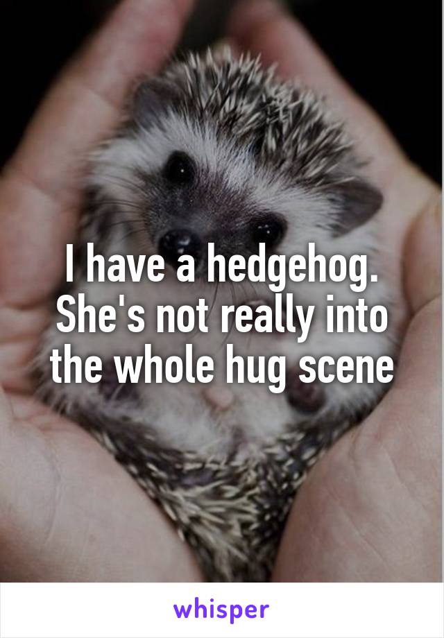 I have a hedgehog. She's not really into the whole hug scene