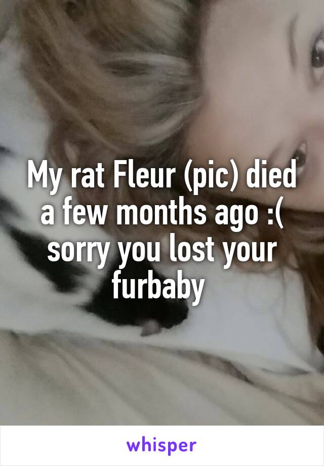 My rat Fleur (pic) died a few months ago :( sorry you lost your furbaby 