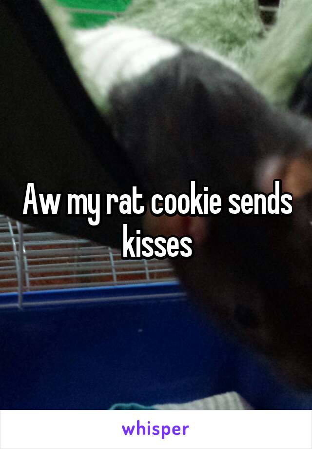 Aw my rat cookie sends kisses