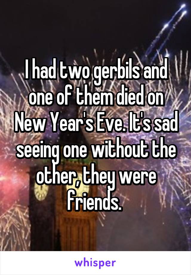 I had two gerbils and one of them died on New Year's Eve. It's sad seeing one without the other, they were friends. 