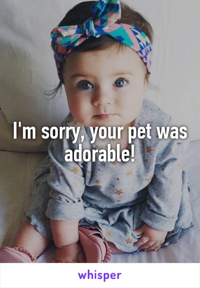 I'm sorry, your pet was adorable!