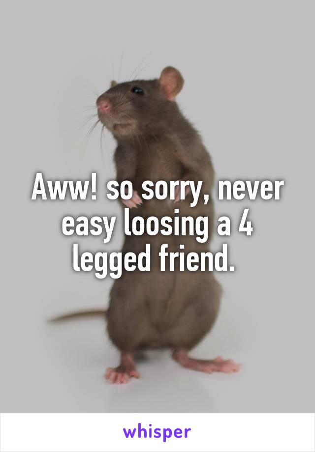 Aww! so sorry, never easy loosing a 4 legged friend. 