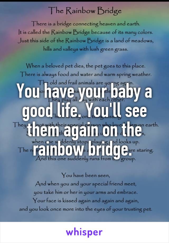 You have your baby a good life. You'll see them again on the rainbow bridge. 