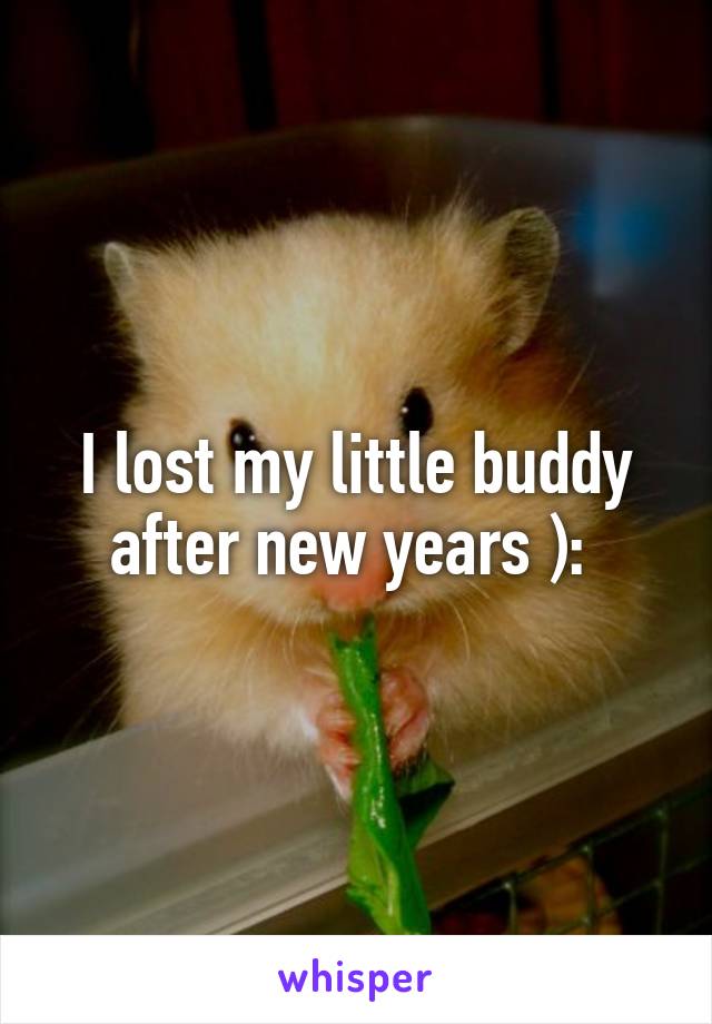 I lost my little buddy after new years ): 