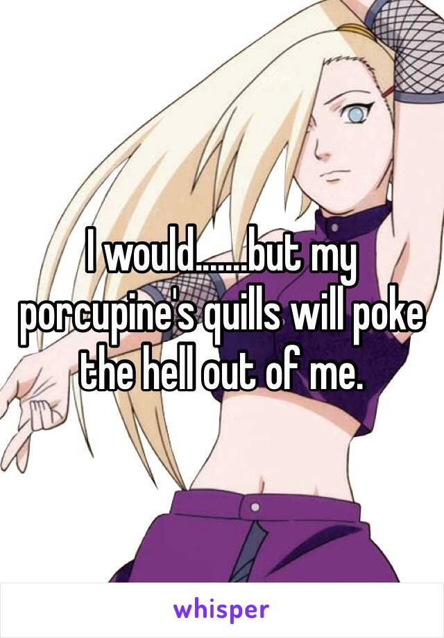 I would.......but my porcupine's quills will poke the hell out of me.