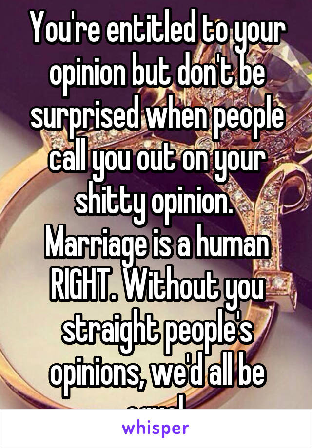 You're entitled to your opinion but don't be surprised when people call you out on your shitty opinion. 
Marriage is a human RIGHT. Without you straight people's opinions, we'd all be equal.