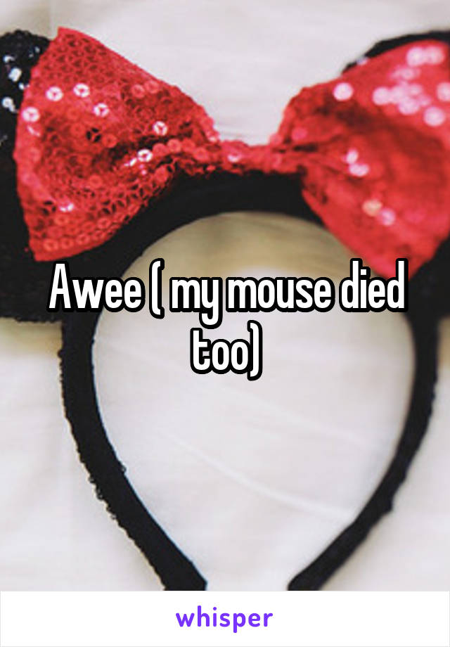 Awee ( my mouse died too)