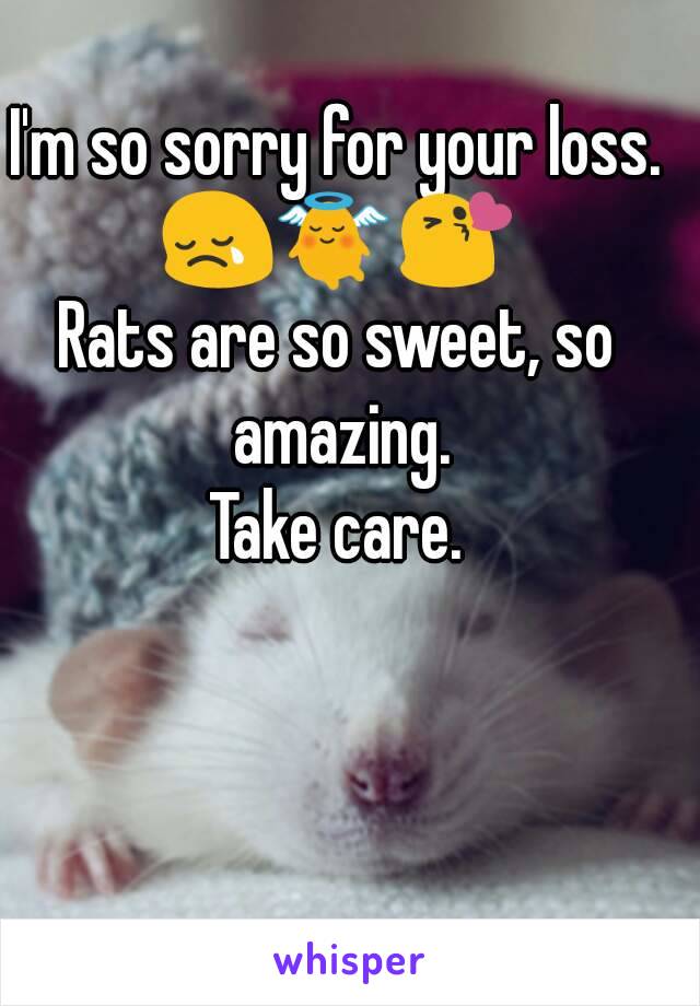 I'm so sorry for your loss.
😢👼😘
Rats are so sweet, so amazing.
Take care.