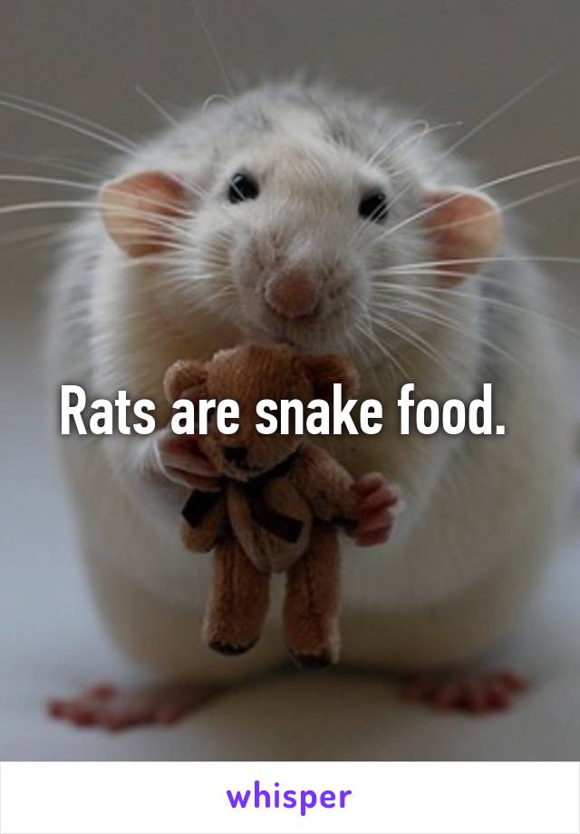 Rats are snake food. 