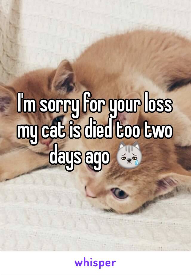 I'm sorry for your loss
my cat is died too two days ago 😿