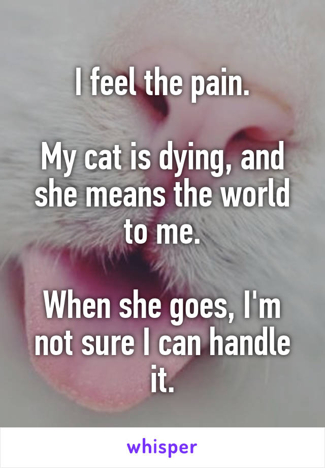 I feel the pain.

My cat is dying, and she means the world to me.

When she goes, I'm not sure I can handle it.