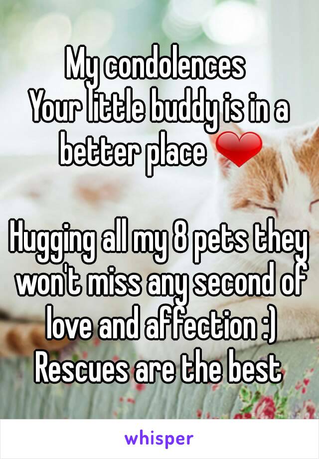 My condolences 
Your little buddy is in a better place ❤

Hugging all my 8 pets they won't miss any second of love and affection :)
Rescues are the best