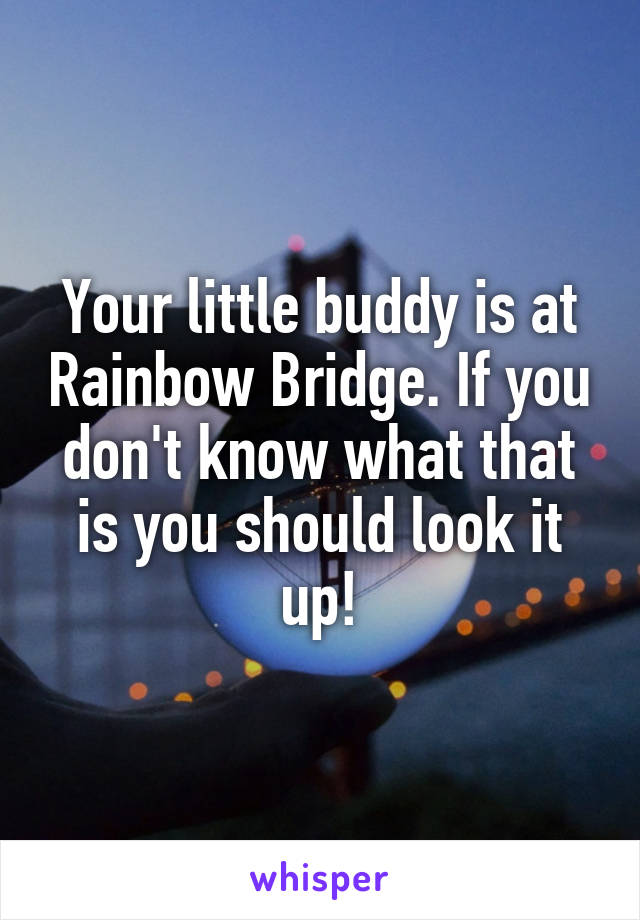 Your little buddy is at Rainbow Bridge. If you don't know what that is you should look it up!