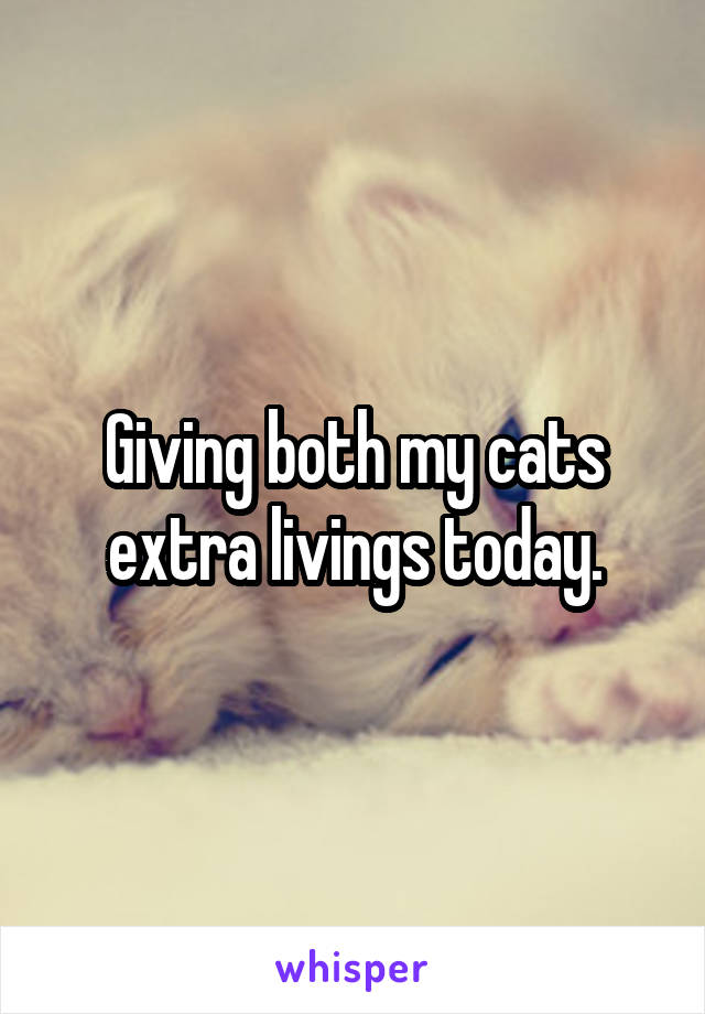 Giving both my cats extra livings today.