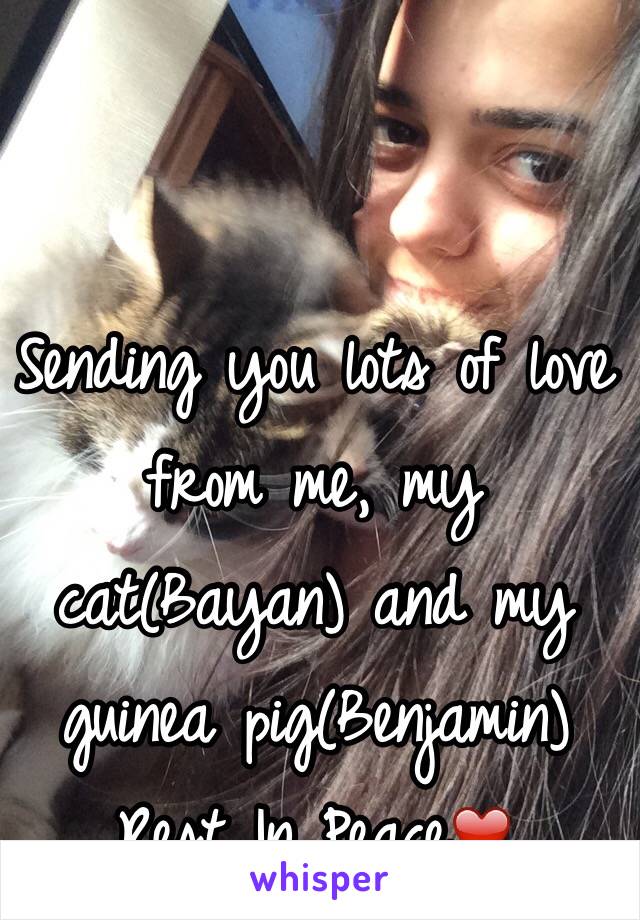 Sending you lots of love from me, my cat(Bayan) and my guinea pig(Benjamin) Rest In Peace❤️