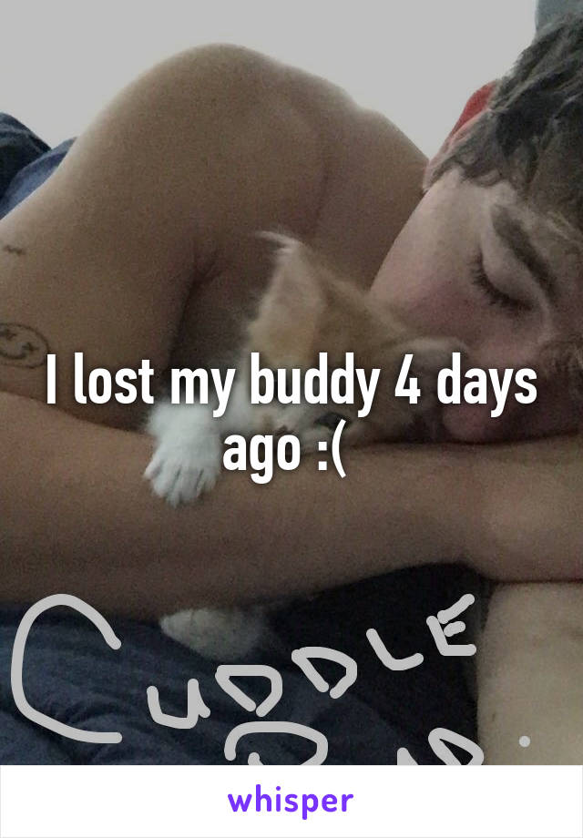 I lost my buddy 4 days ago :( 