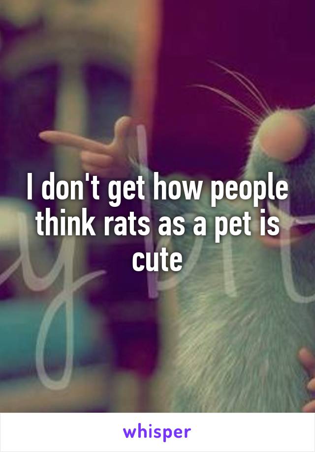 I don't get how people think rats as a pet is cute