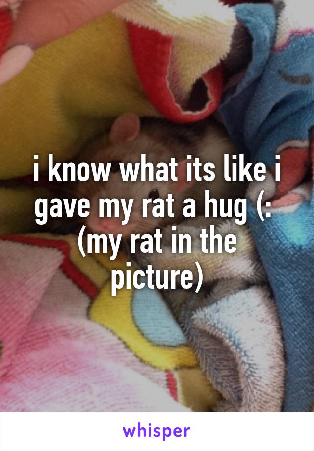 i know what its like i gave my rat a hug (: 
(my rat in the picture)