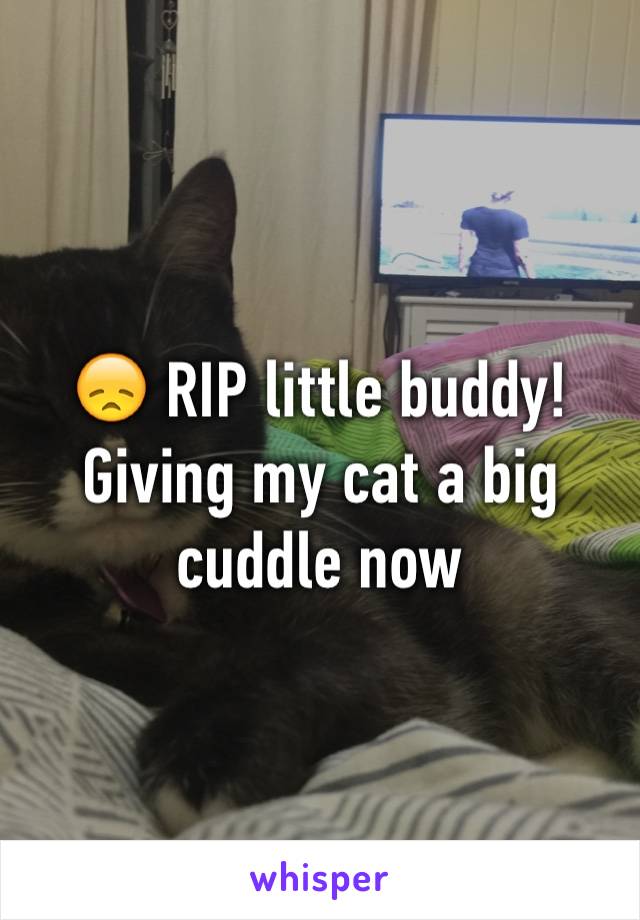 😞 RIP little buddy! Giving my cat a big cuddle now 