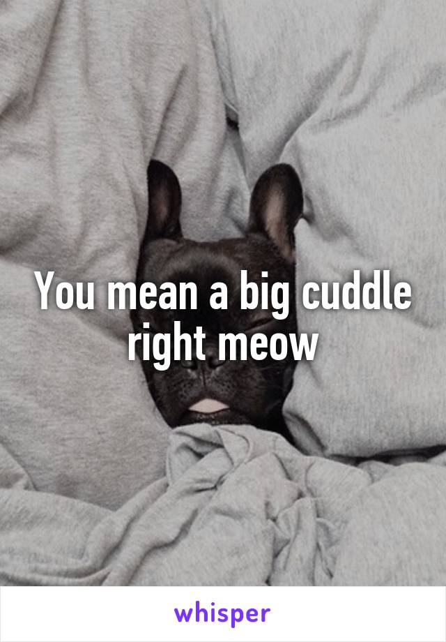 You mean a big cuddle right meow