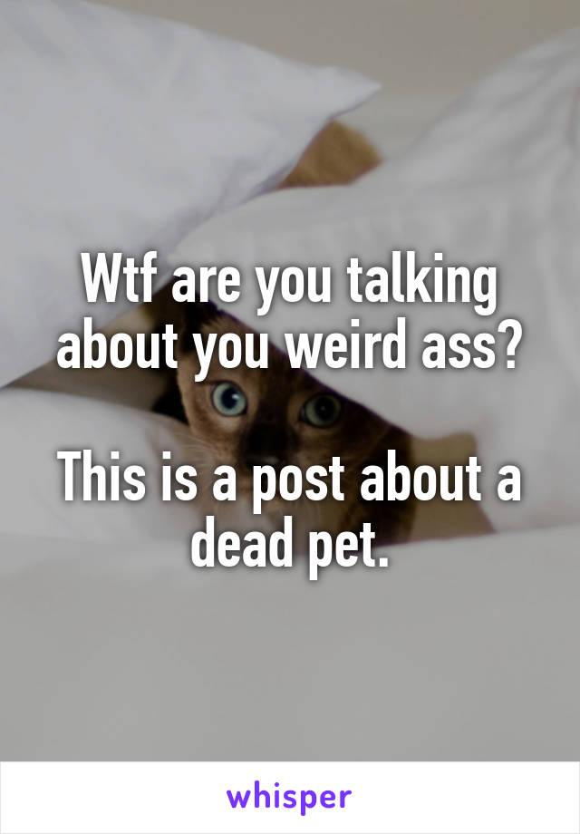 Wtf are you talking about you weird ass?

This is a post about a dead pet.