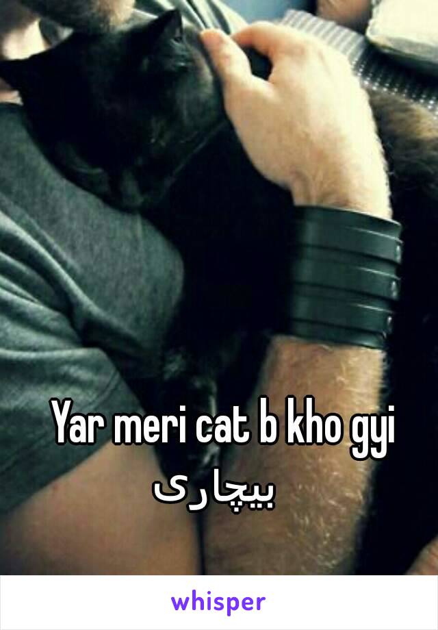  Yar meri cat b kho gyi 
  بیچاری