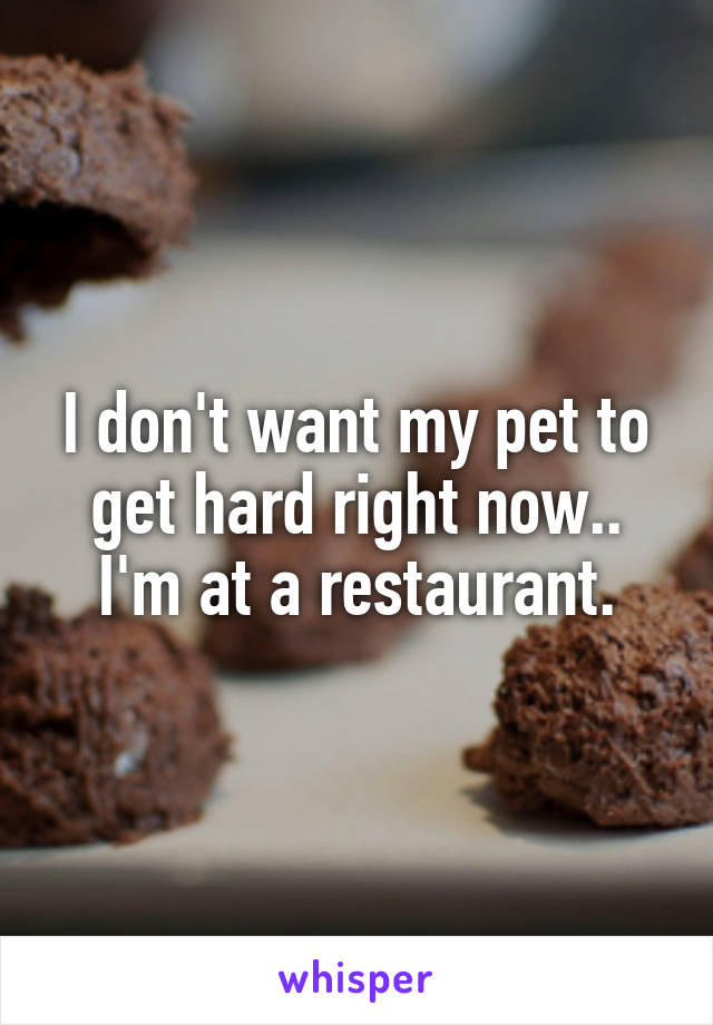 I don't want my pet to get hard right now.. I'm at a restaurant.