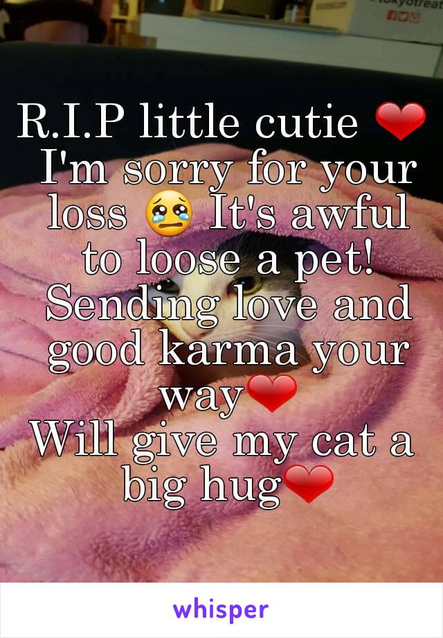 R.I.P little cutie ❤ I'm sorry for your loss 😢 It's awful to loose a pet! Sending love and good karma your way❤
Will give my cat a big hug❤