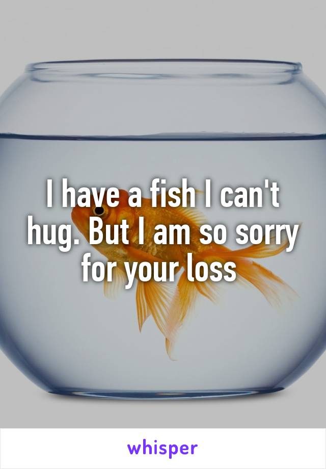 I have a fish I can't hug. But I am so sorry for your loss 