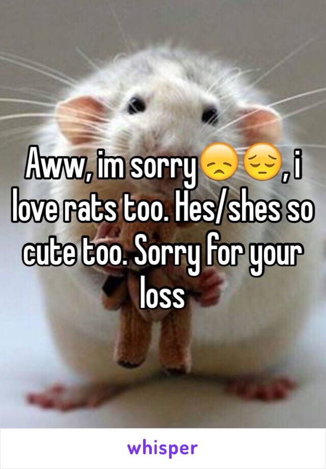 Aww, im sorry😞😔, i love rats too. Hes/shes so cute too. Sorry for your loss