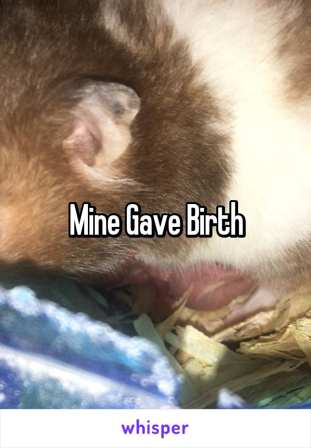 Mine Gave Birth