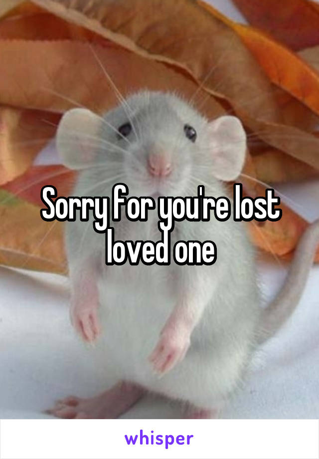 Sorry for you're lost loved one