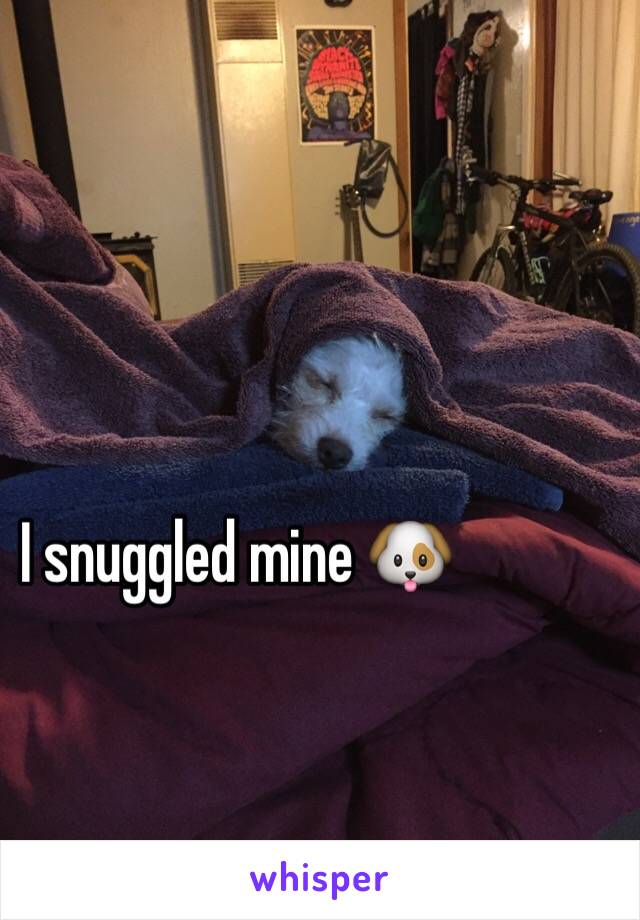 I snuggled mine 🐶