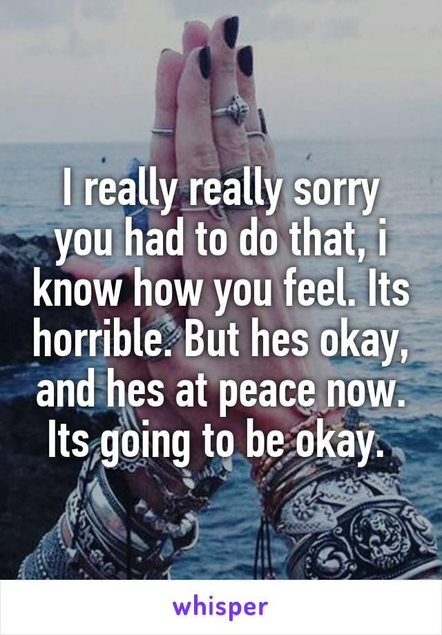 I really really sorry you had to do that, i know how you feel. Its horrible. But hes okay, and hes at peace now. Its going to be okay. 